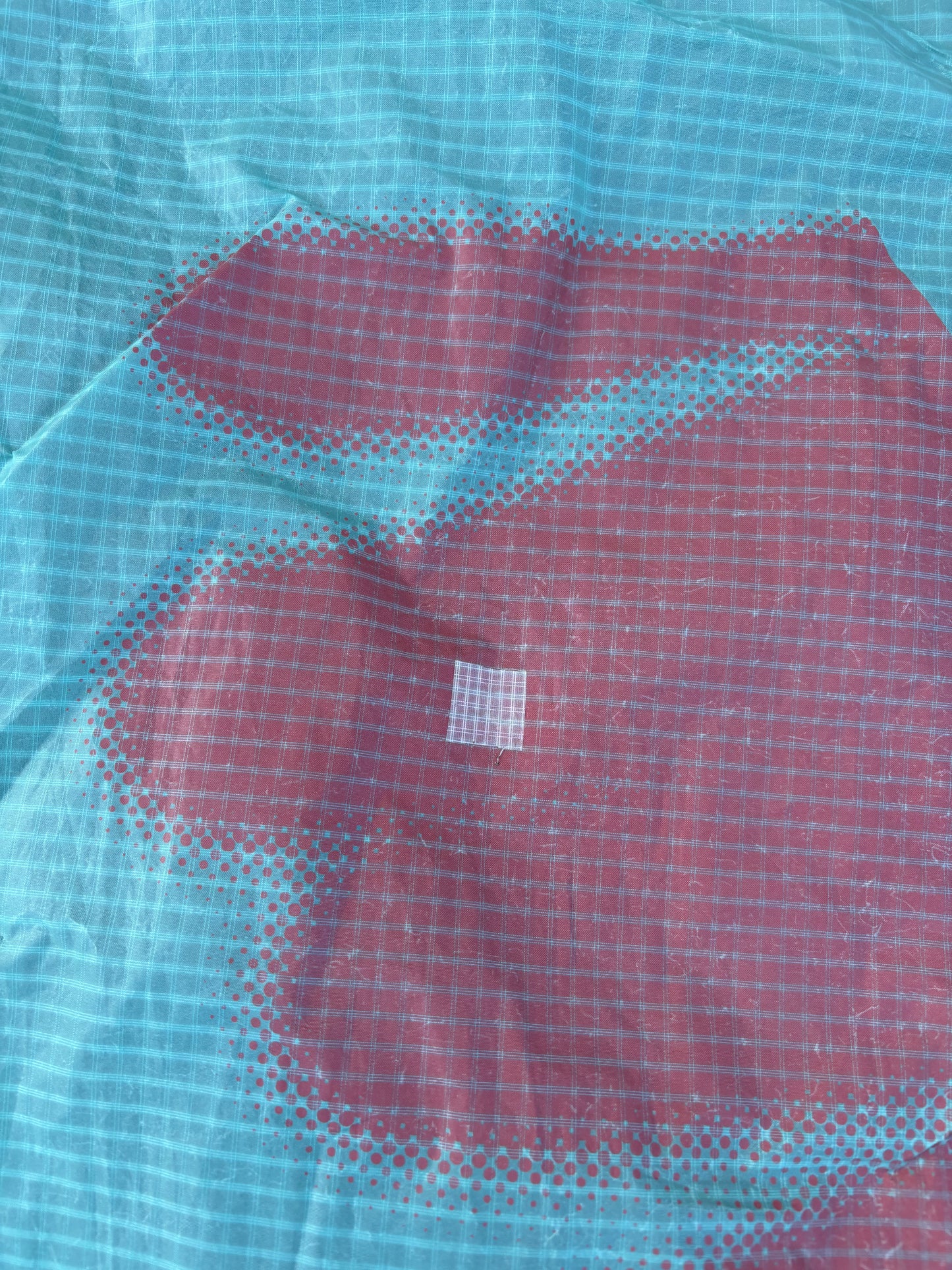 Duotone Neo SLS 7 m 2023 occasion