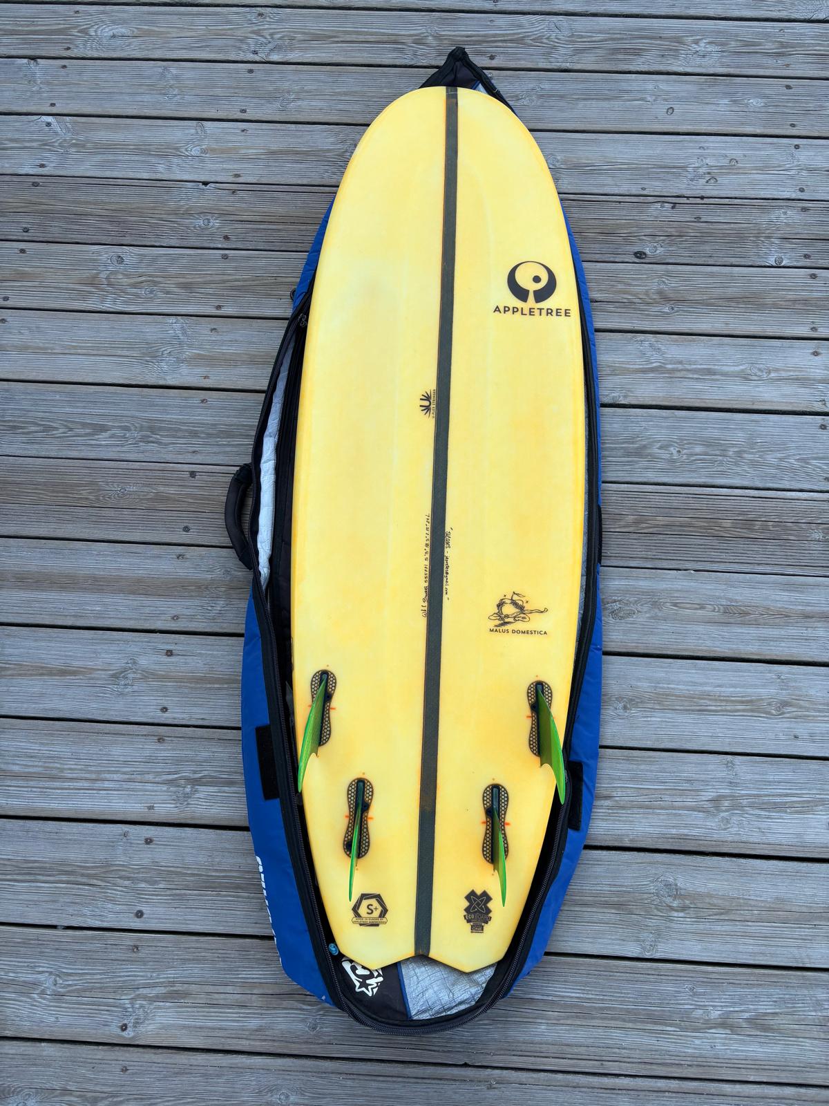 Strapless Appletree Custom 5'3 24L occasion